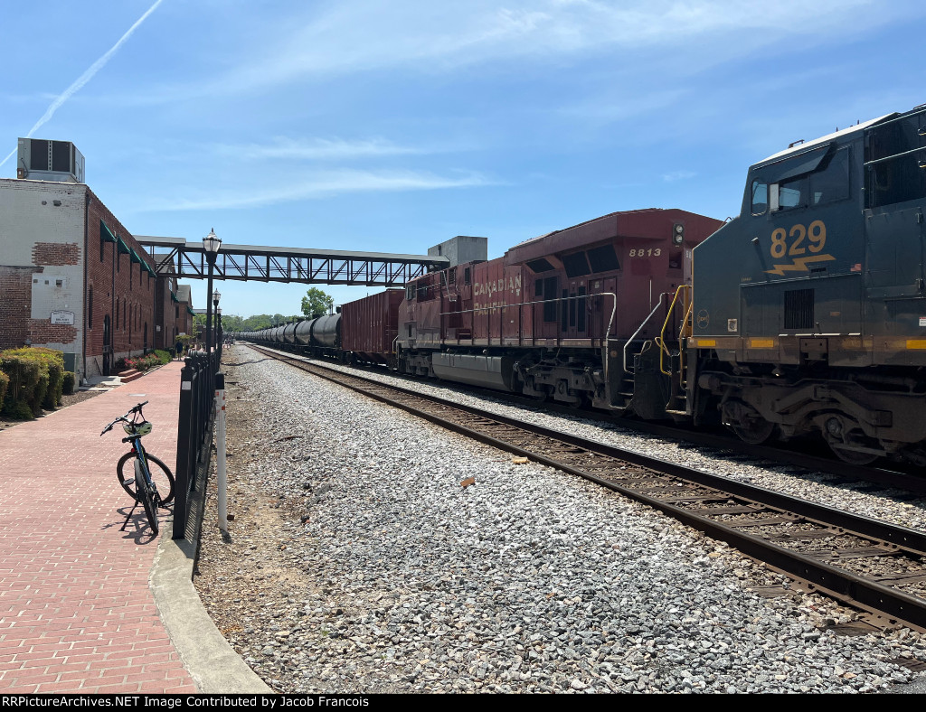 CP 8813